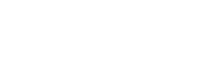 zidny